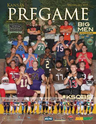 Article Image Alt Text