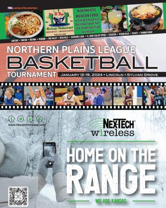 Article Image Alt Text