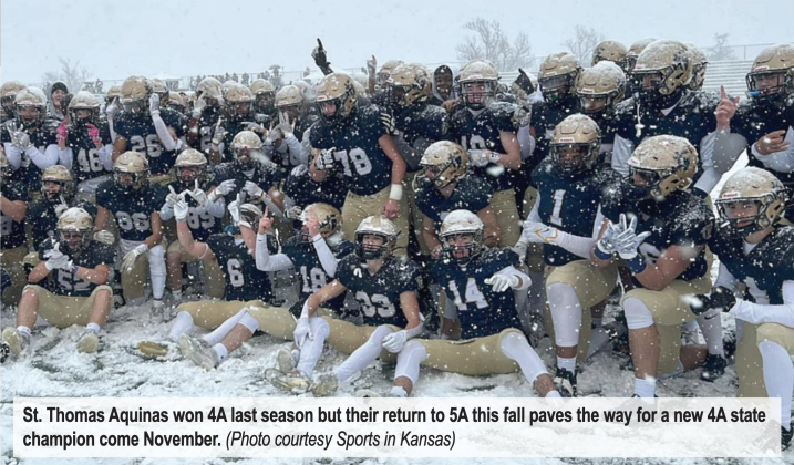 Article Image Alt Text