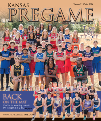 Article Image Alt Text