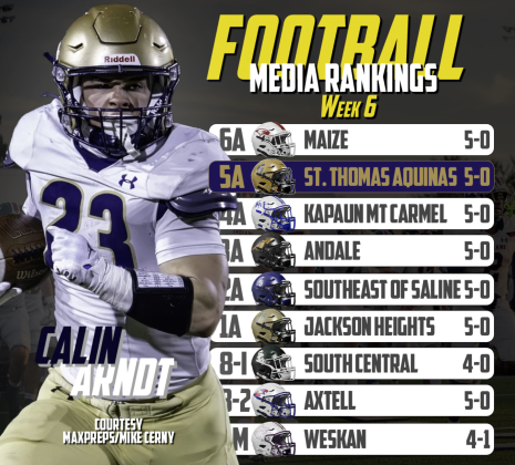 Article Image Alt Text