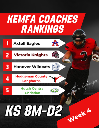 Article Image Alt Text