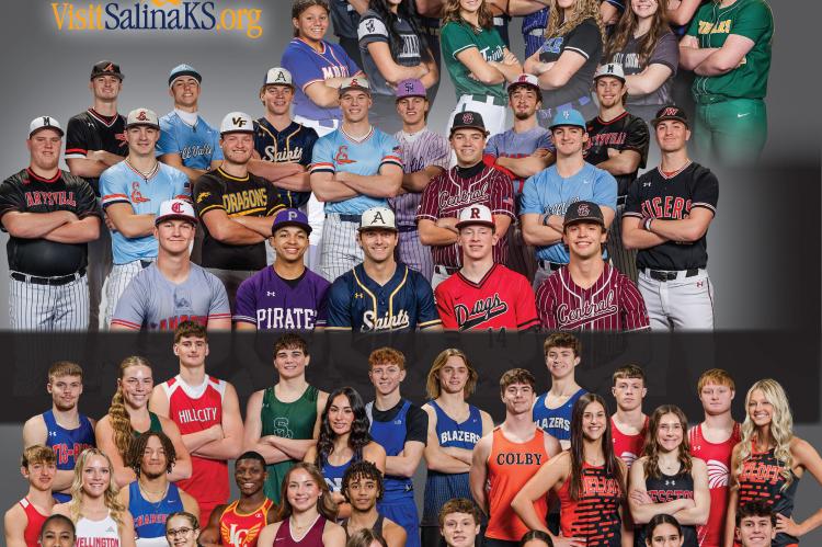 Article Image Alt Text