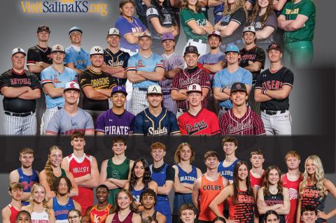 Article Image Alt Text