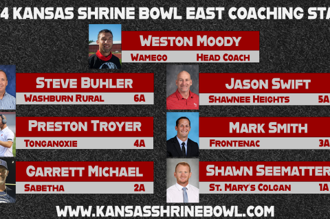 Article Image Alt Text