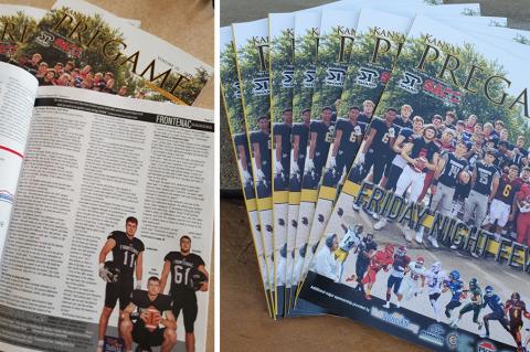 Article Image Alt Text