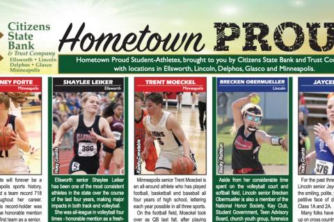 Article Image Alt Text