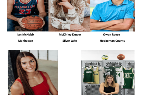 Article Image Alt Text