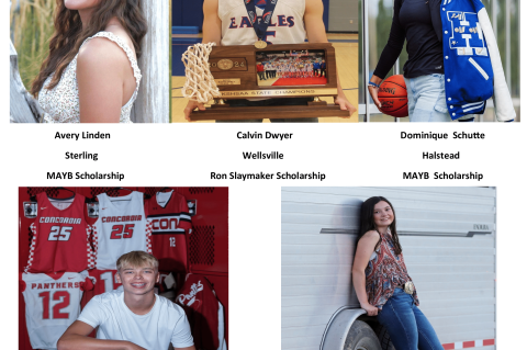 Article Image Alt Text