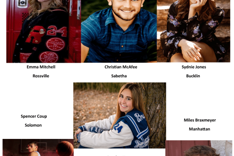 Article Image Alt Text