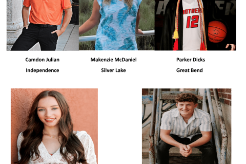 Article Image Alt Text