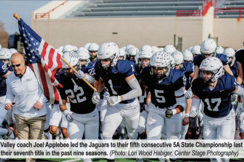 Article Image Alt Text