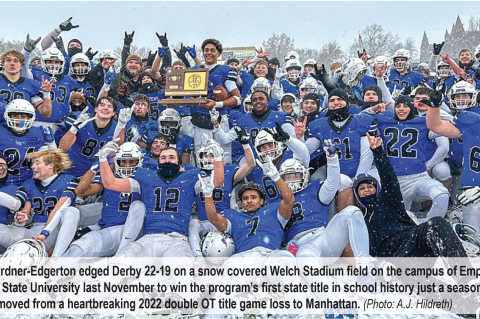 Article Image Alt Text