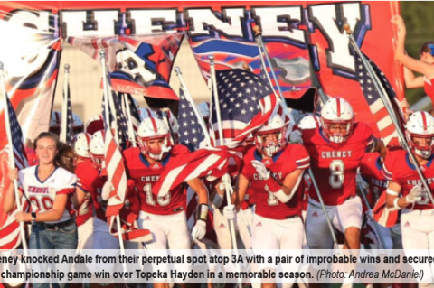 Article Image Alt Text