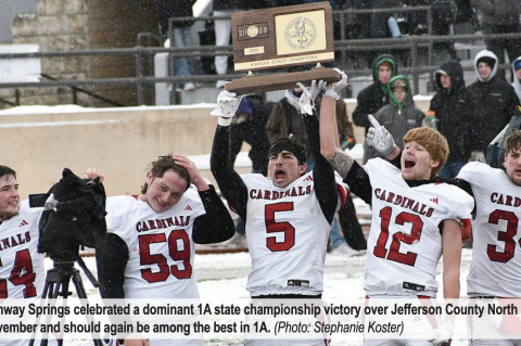 Article Image Alt Text