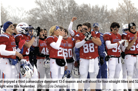 Article Image Alt Text