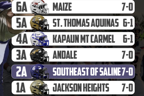 Article Image Alt Text